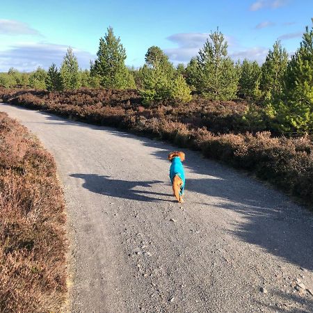 Stelvio Daire Aviemore Dış mekan fotoğraf