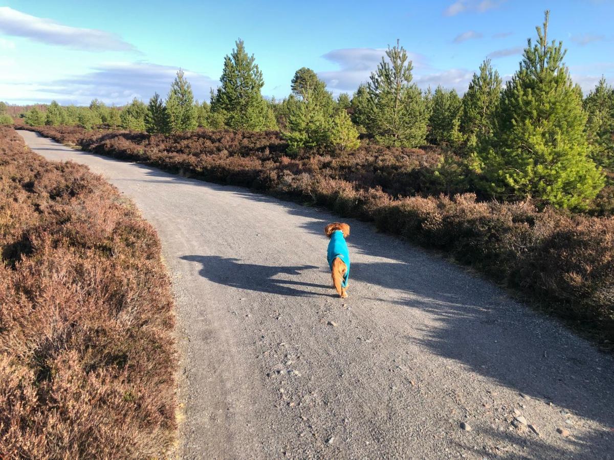 Stelvio Daire Aviemore Dış mekan fotoğraf